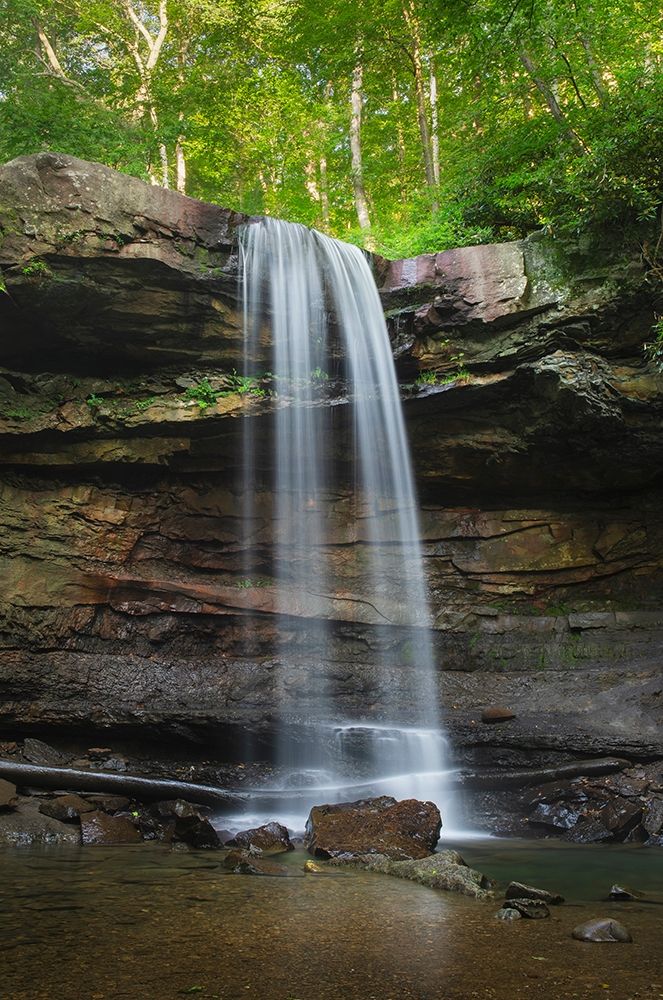 Cucumber Falls-Ohiopyle State Park-Pennsylvania art print by Alan Majchrowicz for $57.95 CAD