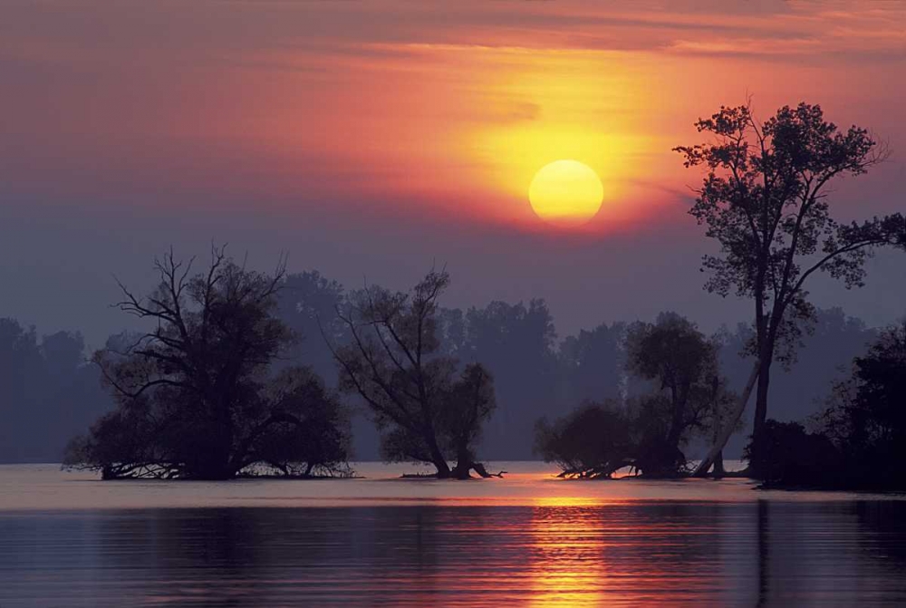 PA, Erie, Presque Isle SP, Sunset over lake art print by Ellen Anon for $57.95 CAD