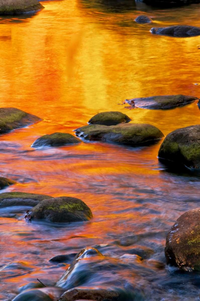 PA, Delaware Water Gap Bright sun on water art print by Jay OBrien for $57.95 CAD