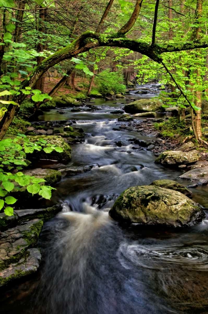 PA, Dingmans Ferry, Childs Park Dingmans Creek art print by Jay OBrien for $57.95 CAD