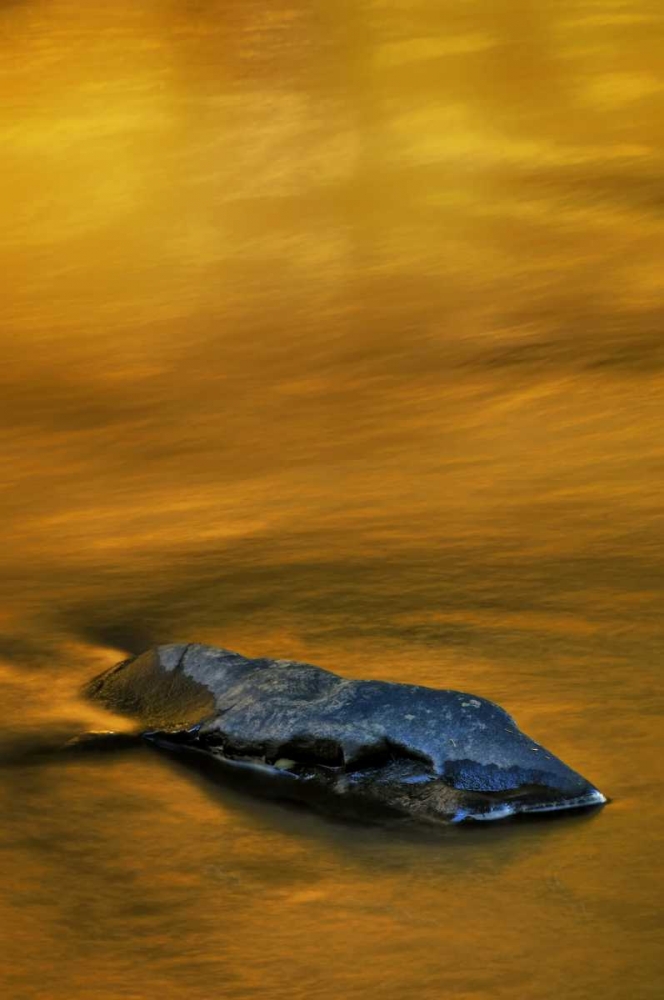 PA, Dingmans Ferry, Rock in autumn-colored stream art print by Jay OBrien for $57.95 CAD