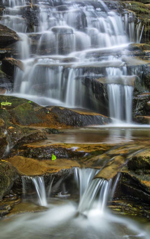 Pennsylvania Waterfall in Ricketts Glen SP art print by Jay OBrien for $57.95 CAD