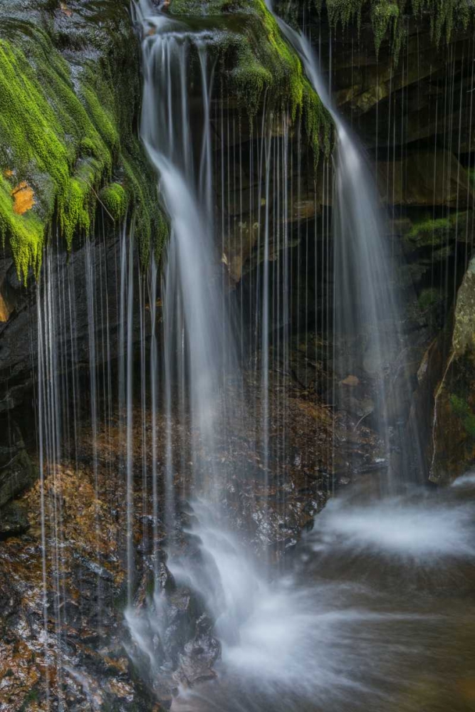 Pennsylvania Waterfall in Ricketts Glen SP art print by Jay OBrien for $57.95 CAD
