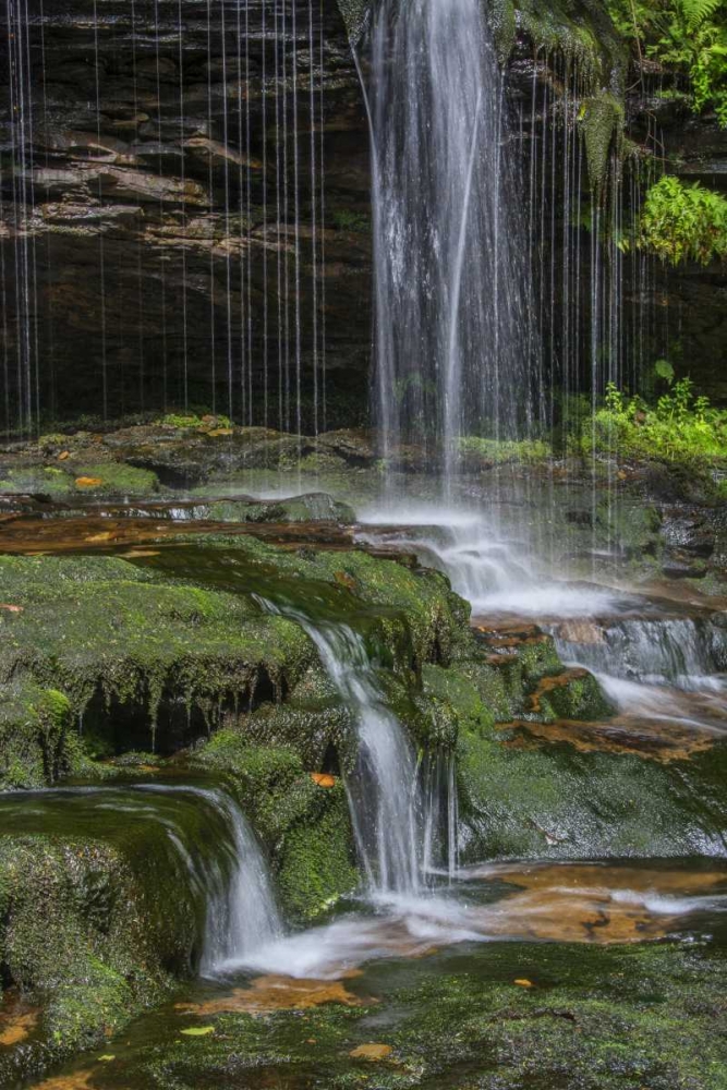 Pennsylvania Waterfall in Ricketts Glen SP art print by Jay OBrien for $57.95 CAD
