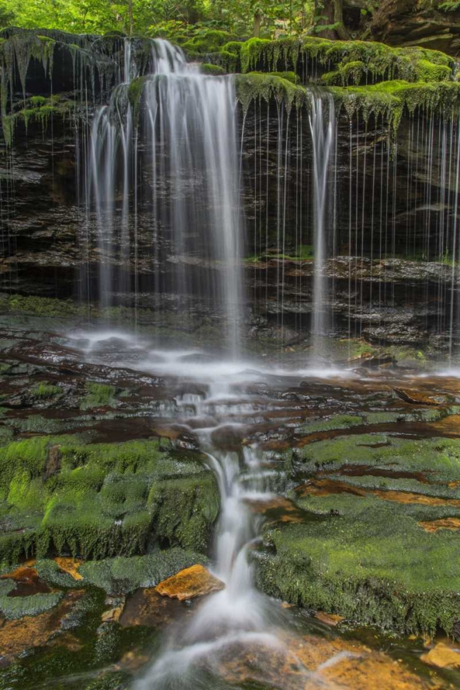 Pennsylvania Waterfall in Ricketts Glen SP art print by Jay OBrien for $57.95 CAD