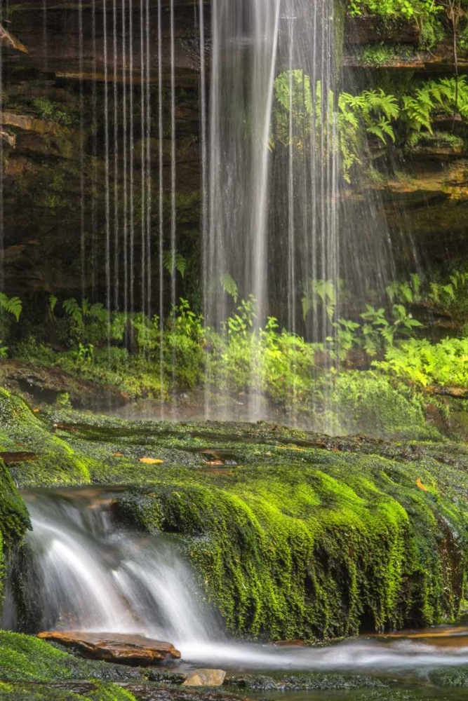 Pennsylvania Waterfall in Ricketts Glen SP art print by Jay OBrien for $57.95 CAD