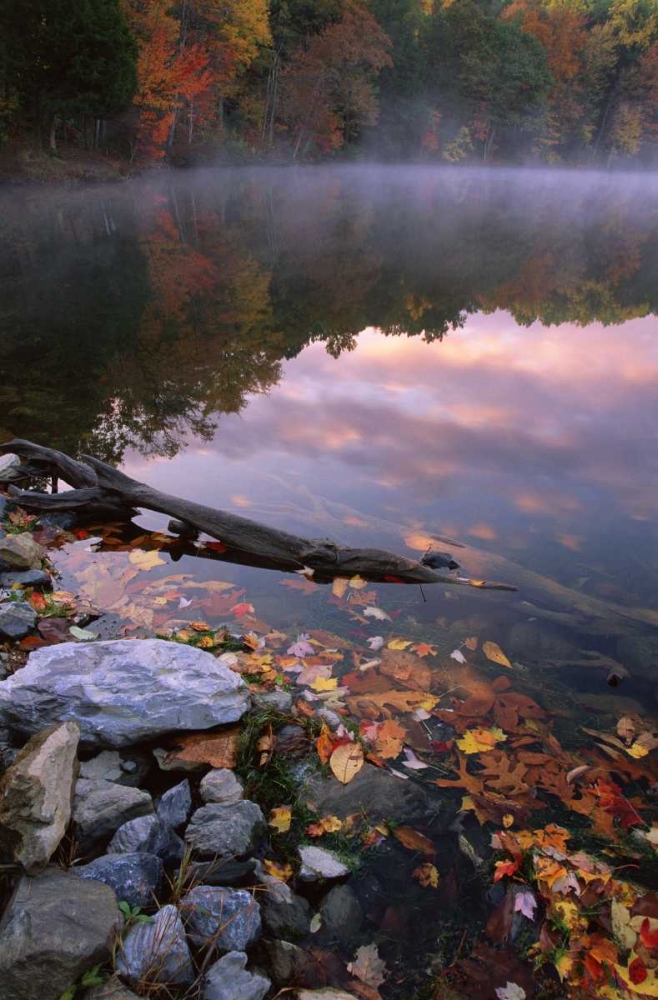 PA, Pocono Mountains Autumn sunrise on lake art print by Marie Bush for $57.95 CAD