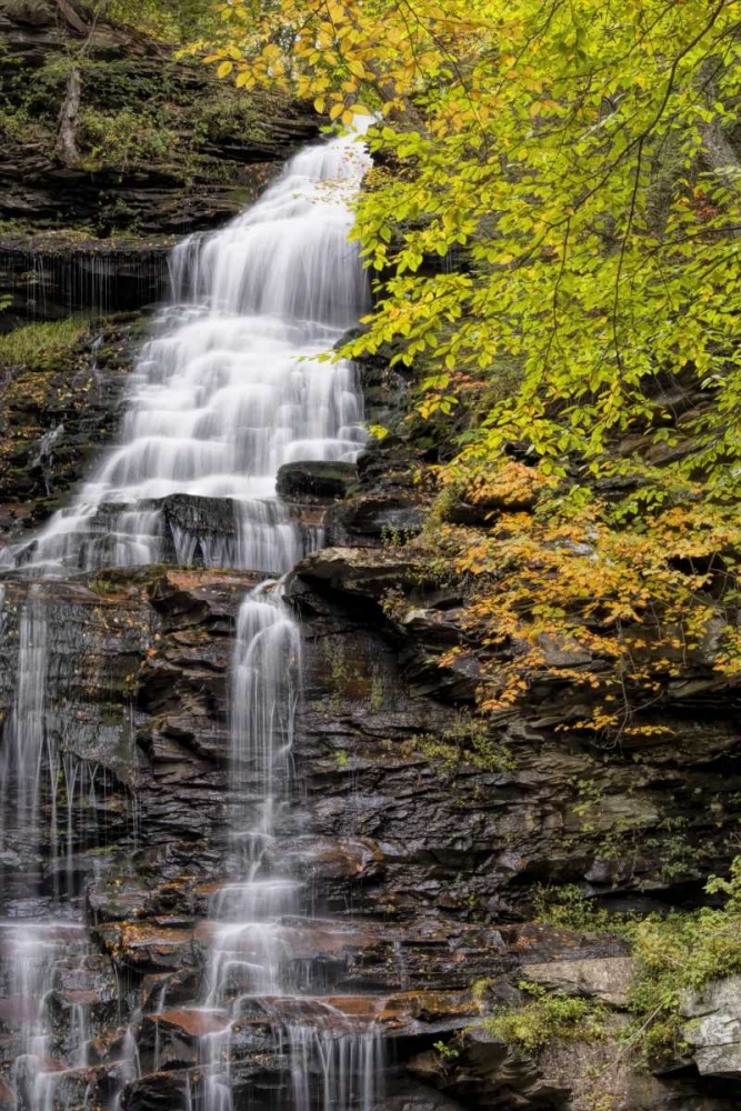 Pennsylvania Waterfall in Ricketts Glen SP art print by Jay OBrien for $57.95 CAD