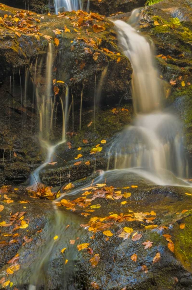 PA, Delaware Water gap NRA Waterfall over rocks art print by Jay OBrien for $57.95 CAD