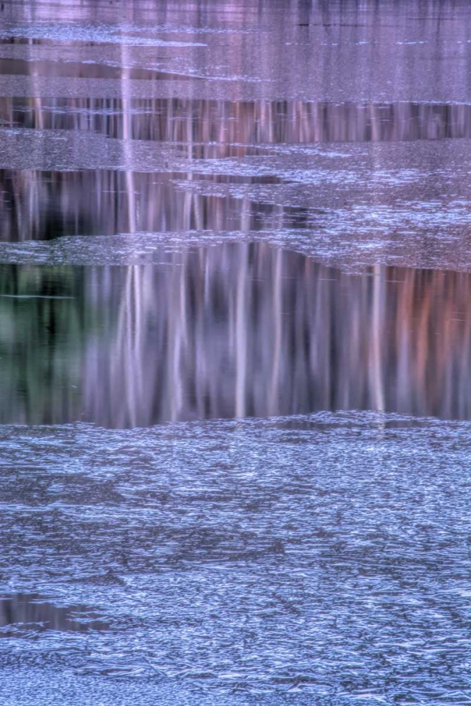 PA, Delaware Water gap NRA Tree reflection art print by Jay OBrien for $57.95 CAD