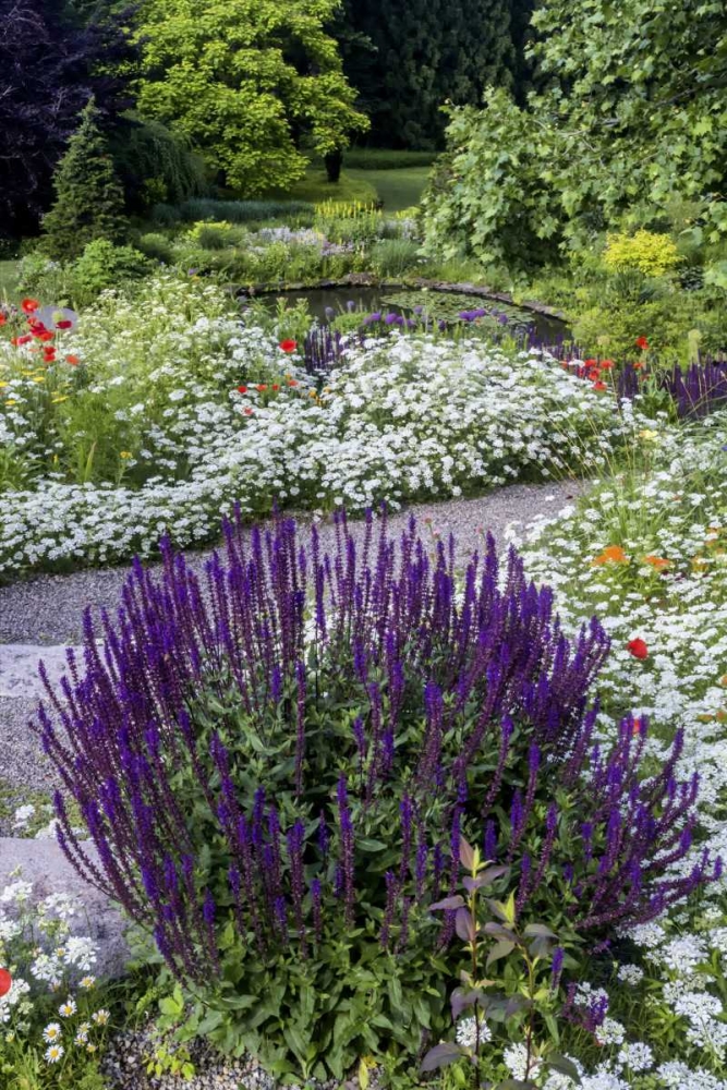 USA, Pennsylvania Summer flowers art print by Jay OBrien for $57.95 CAD