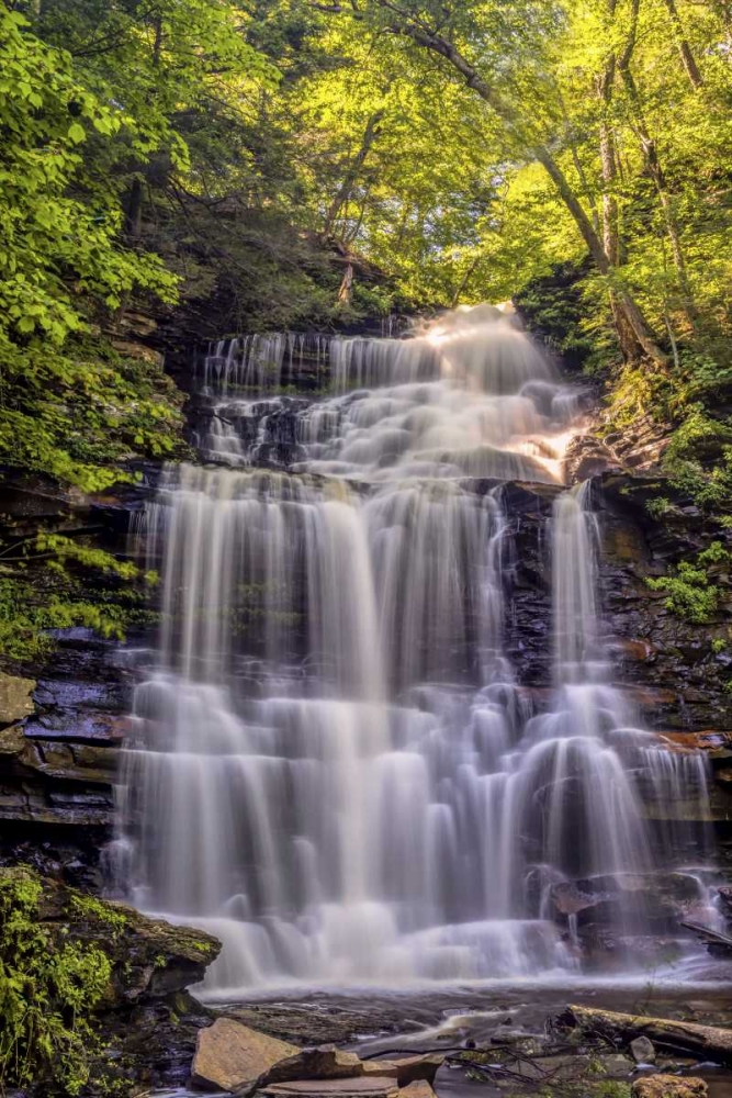 PA, Benton, Ricketts Glen SP Ganoga Falls art print by Jay OBrien for $57.95 CAD