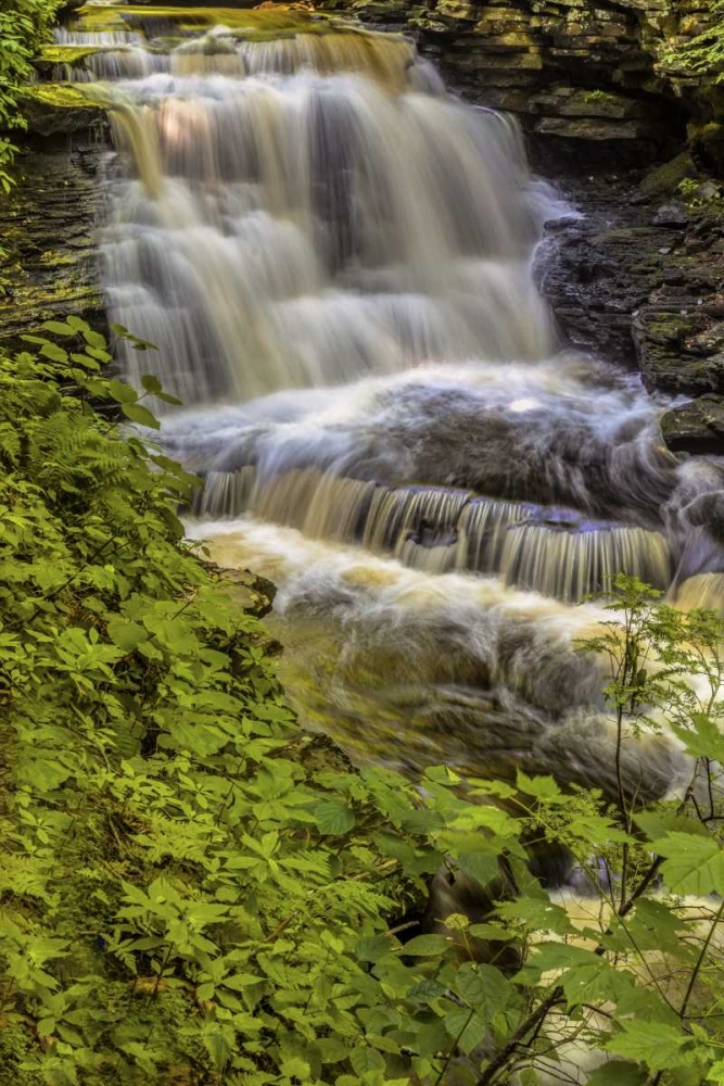 Pennsylvania, Ricketts Glen SP Delaware Falls art print by Jay OBrien for $57.95 CAD