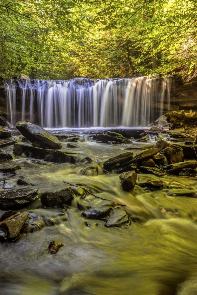 PA, Benton, Ricketts Glen SP Oneida Falls art print by Jay OBrien for $57.95 CAD