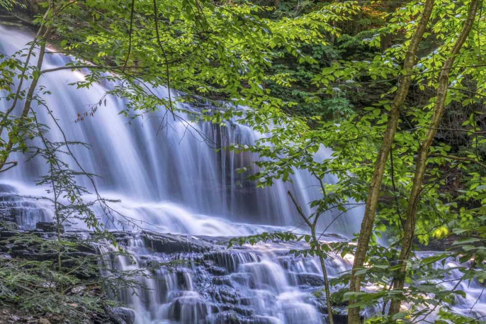 PA, Benton, Ricketts Glen SP Mohawk Falls art print by Jay OBrien for $57.95 CAD