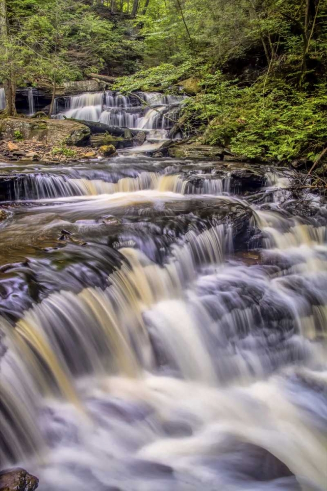 Pennsylvania, Ricketts Glen SP Delaware Falls art print by Jay OBrien for $57.95 CAD