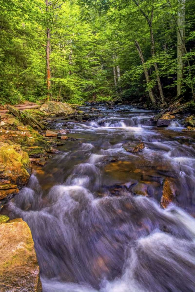 Pennsylvania, Ricketts Glen SP Kitchen Creek art print by Jay OBrien for $57.95 CAD