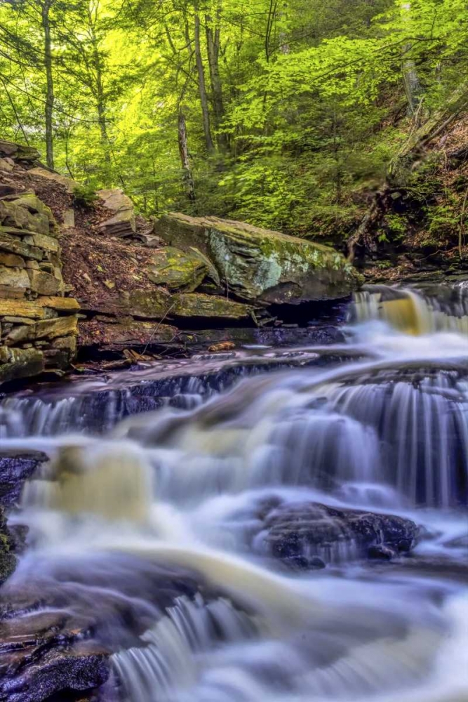 PA, Benton, Ricketts Glen SP Seneca Falls art print by Jay OBrien for $57.95 CAD