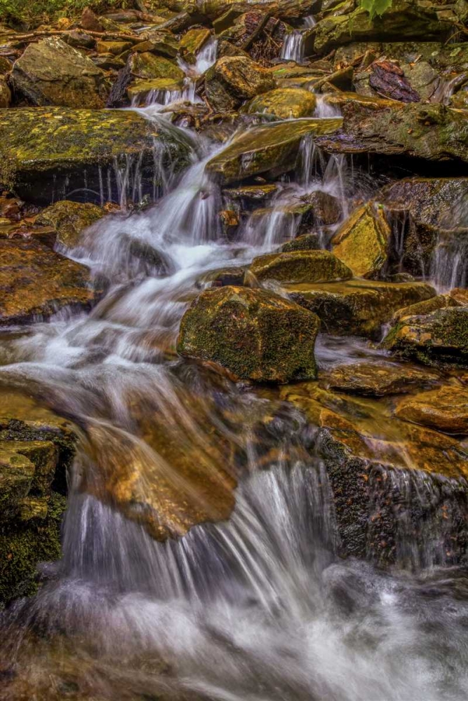 Pennsylvania, Ricketts Glen SP Kitchen Creek art print by Jay OBrien for $57.95 CAD