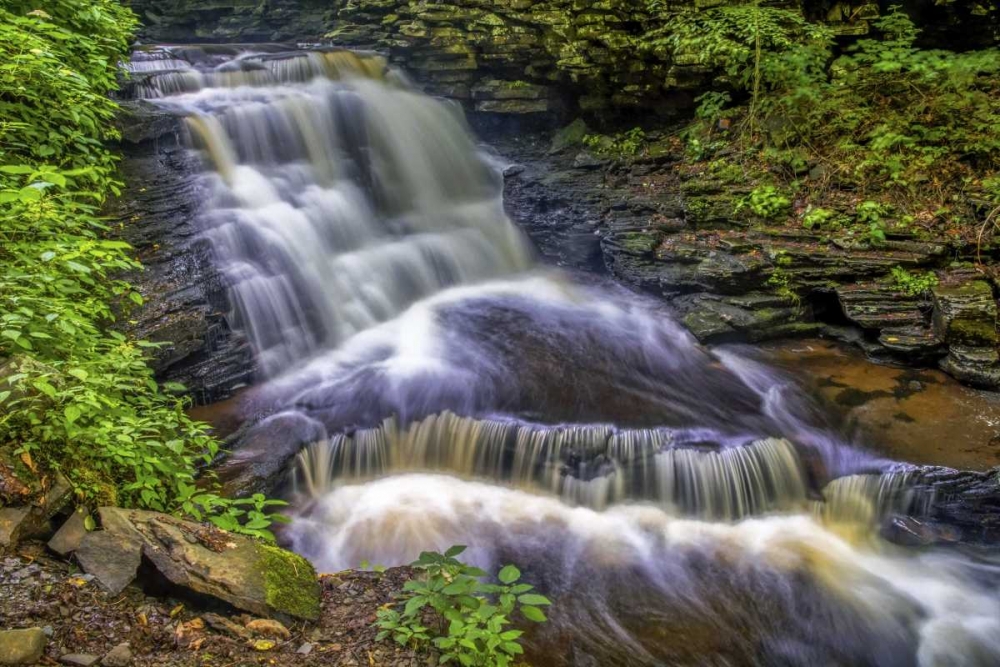 Pennsylvania, Ricketts Glen SP Delaware Falls art print by Jay OBrien for $57.95 CAD