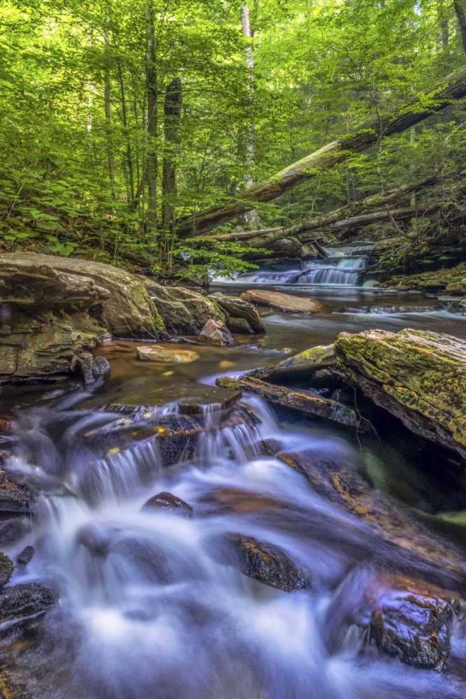 Pennsylvania, Ricketts Glen SP Kitchen Creek art print by Jay OBrien for $57.95 CAD