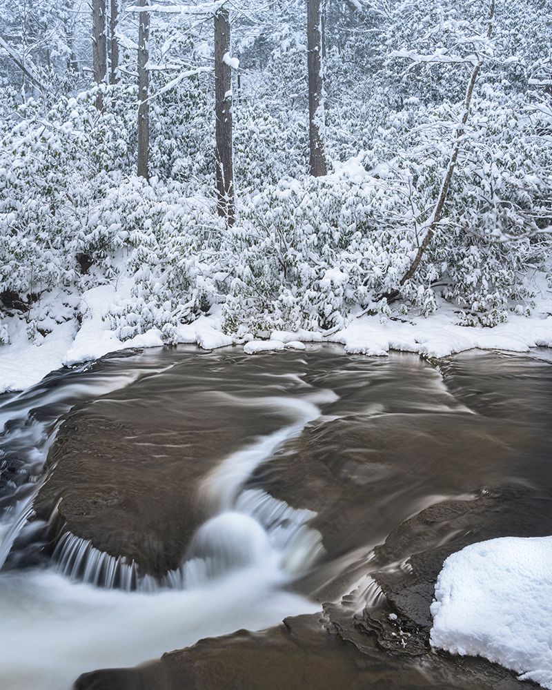 USA, Pennsylvania, Delaware Water Gap. Stream rapids and winter forest. art print by Jaynes Gallery for $57.95 CAD