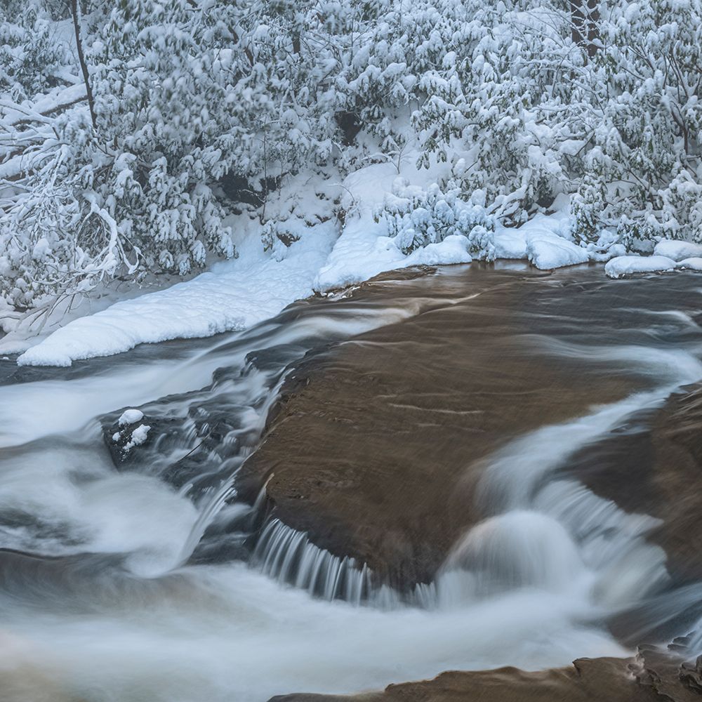 USA, Pennsylvania, Delaware Water Gap. Stream rapids and winter forest. art print by Jaynes Gallery for $57.95 CAD