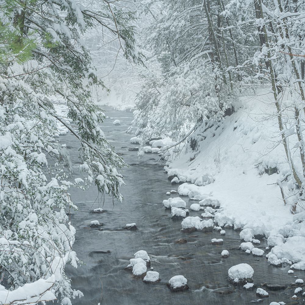 USA, Pennsylvania, Delaware Water Gap. Stream and winter forest. art print by Jaynes Gallery for $57.95 CAD