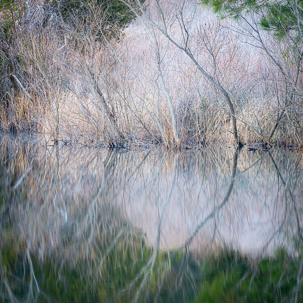 USA, Pennsylvania, Delaware Water Gap. Frosty winter trees reflect in water. art print by Jaynes Gallery for $57.95 CAD