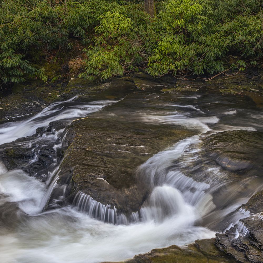 USA, Pennsylvania, Delaware Water Gap. Stream rapids and forest. art print by Jaynes Gallery for $57.95 CAD