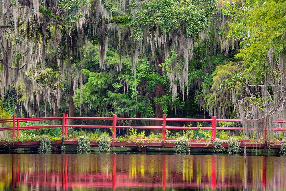 USA, South Carolina, Charleston, Magnolia Plantation. Bridge reflected in water and mossy forest. art print by Jaynes Gallery for $57.95 CAD