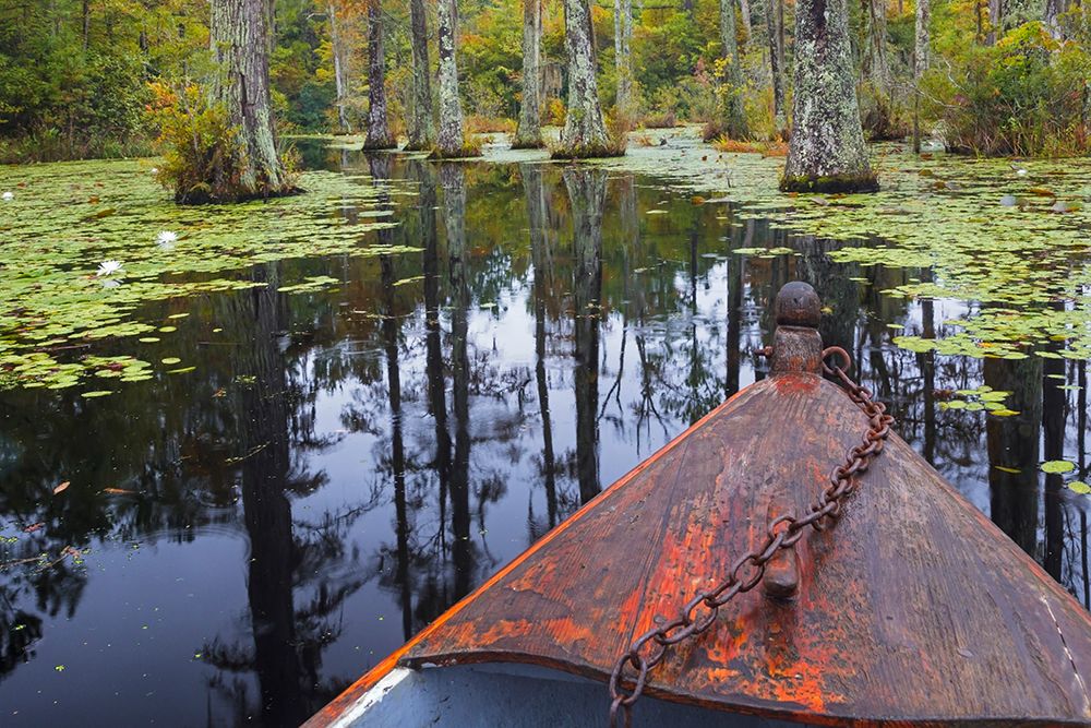 USA, South Carolina, Charleston. Boat in Cypress Gardens. art print by Jaynes Gallery for $57.95 CAD