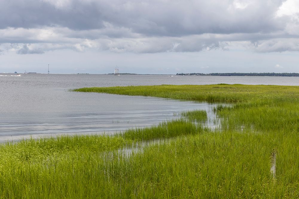 Usa-South Carolina-Charleston art print by Hollice Looney for $57.95 CAD