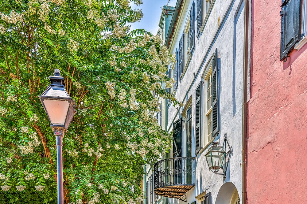 Usa-South Carolina-Charleston art print by Hollice Looney for $57.95 CAD