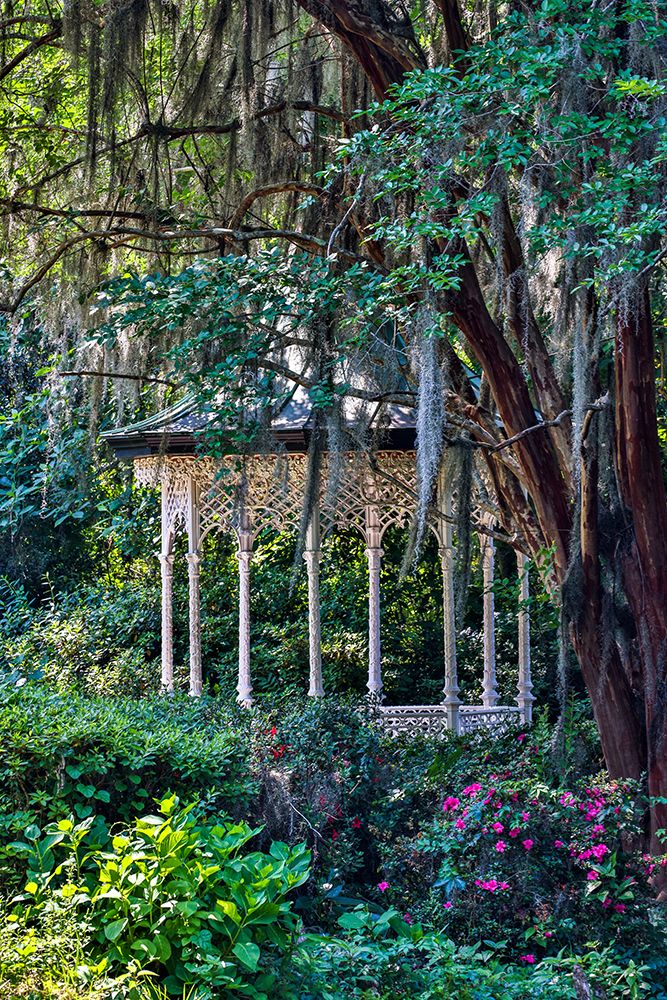 USA- South Carolina- Charleston. Magnolia Plantation art print by Hollice Looney for $57.95 CAD