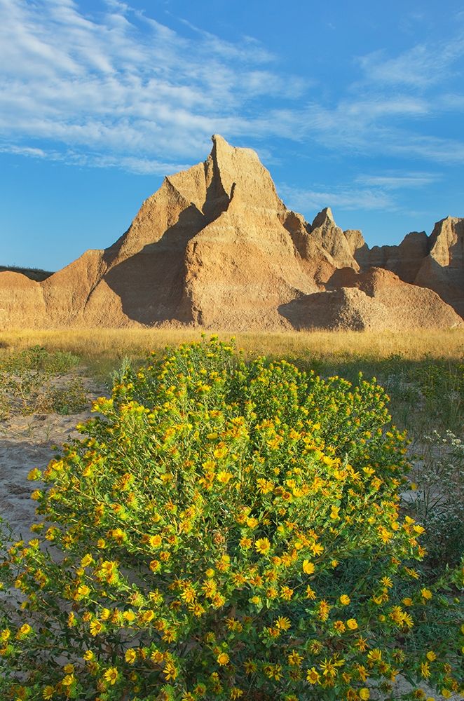 Badlands National Park-South Dakota art print by Alan Majchrowicz for $57.95 CAD