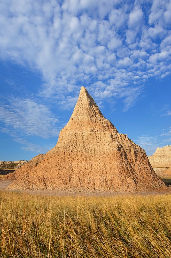 Badlands formations and mixed grass prairie grasses Badlands National Park-South Dakota art print by Alan Majchrowicz for $57.95 CAD