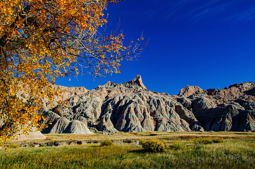 USA, South Dakota, Wall, Badlands National Park, Buttes framed by Fall Colorful Trees art print by Bernard Friel for $57.95 CAD