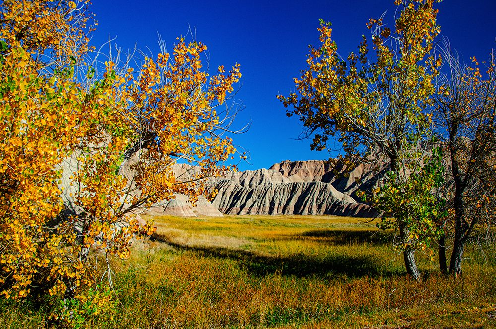 USA, South Dakota, Wall, Badlands National Park, Buttes framed by Fall Colorful Trees art print by Bernard Friel for $57.95 CAD