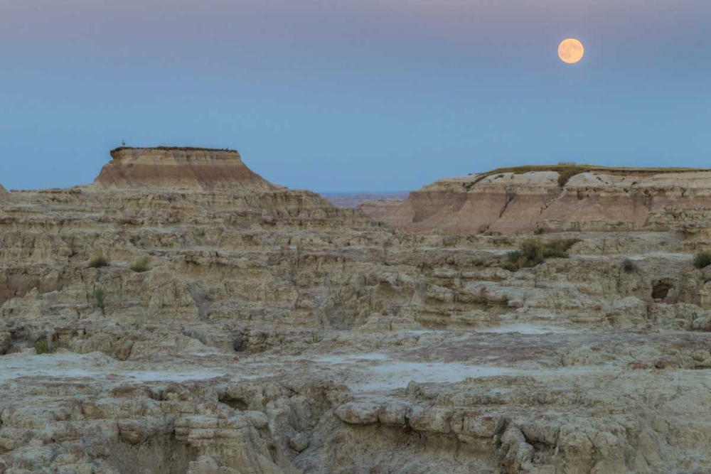 USA, South Dakota Moonrise in Badlands NP art print by Cathy and Gordon Illg for $57.95 CAD