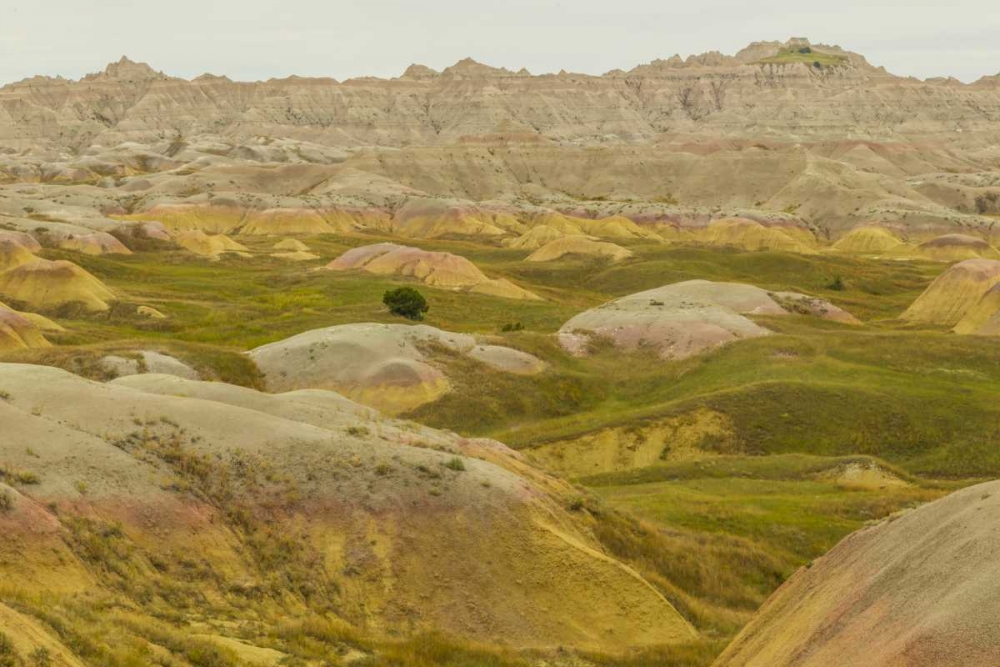 South Dakota, Badlands NP Wilderness landscape art print by Cathy and Gordon Illg for $57.95 CAD