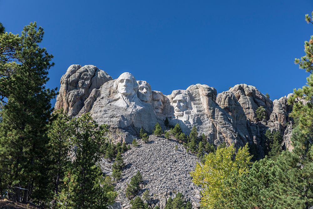 Mount Rushmore National Memorial, rises up from the Black Hill of western South Dakota, USA. art print by Larry Richardson for $57.95 CAD