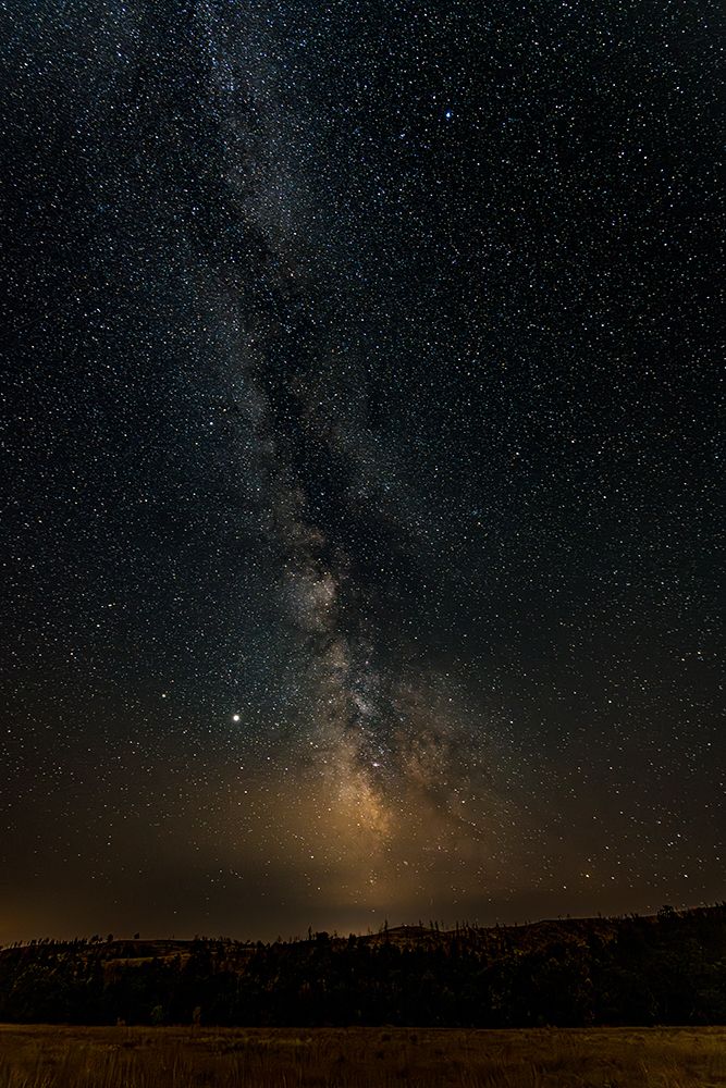 The Milky Way dominates the stary summer sky over Custer State Park in South Dakota. art print by Larry Richardson for $57.95 CAD