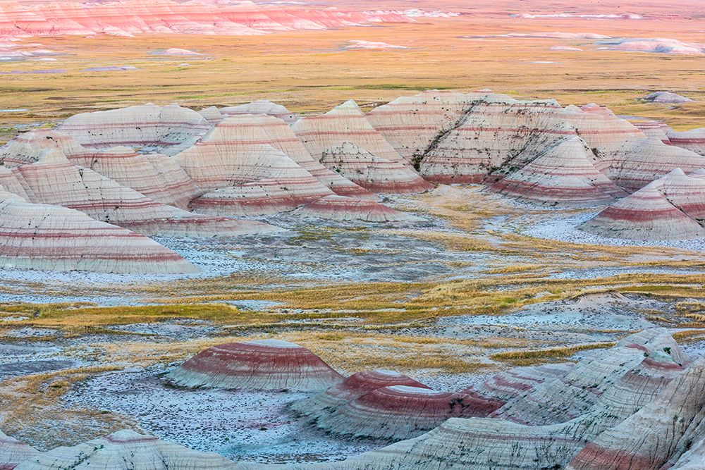 A circular grouping of hoodoo mounds-interspersed with yellow grasses-pinks and red mixed in art print by Sheila Haddad for $57.95 CAD
