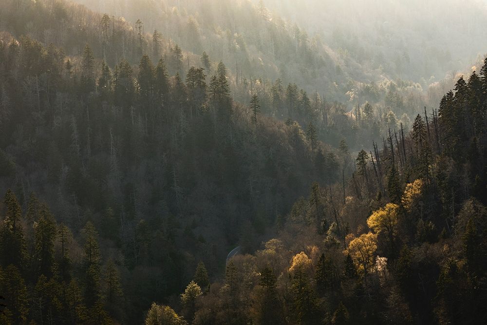 Spring sunset from Morton Overlook-Great Smoky Mountains National Park-Tennessee art print by Adam Jones for $57.95 CAD