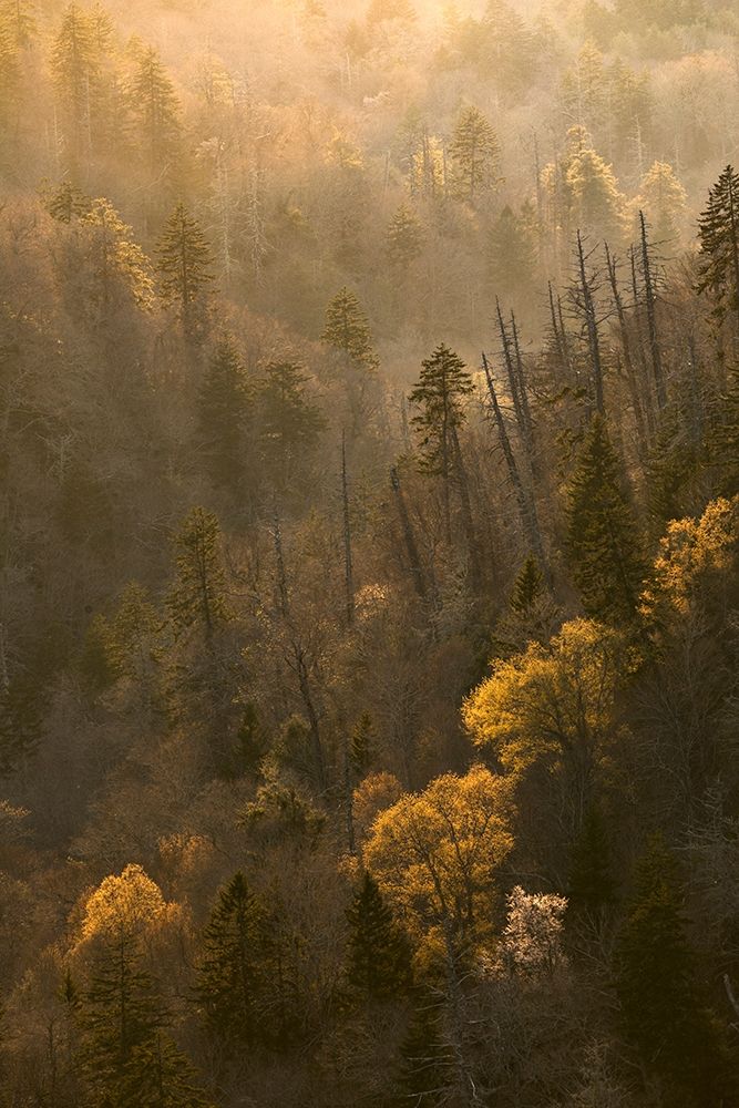 Spring sunset from Morton Overlook-Great Smoky Mountains National Park-Tennessee art print by Adam Jones for $57.95 CAD