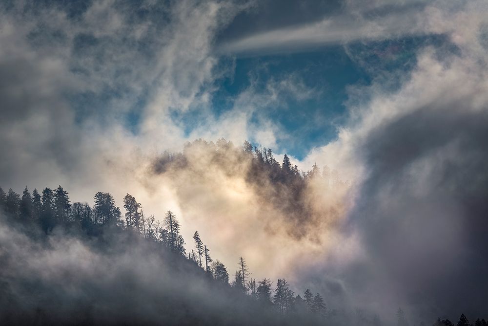 Mist and sunlight in the mountains-Great Smoky Mountain National Park-Tennessee art print by Adam Jones for $57.95 CAD