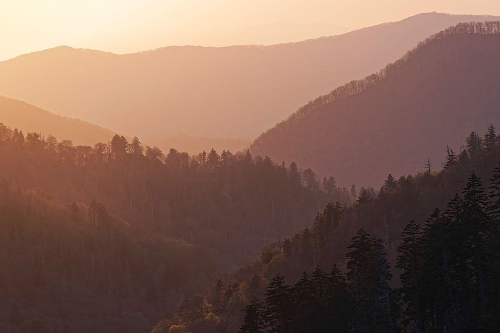 Sunset from Morton Overlook-Great Smoky Mountains National Park-Tennessee art print by Adam Jones for $57.95 CAD