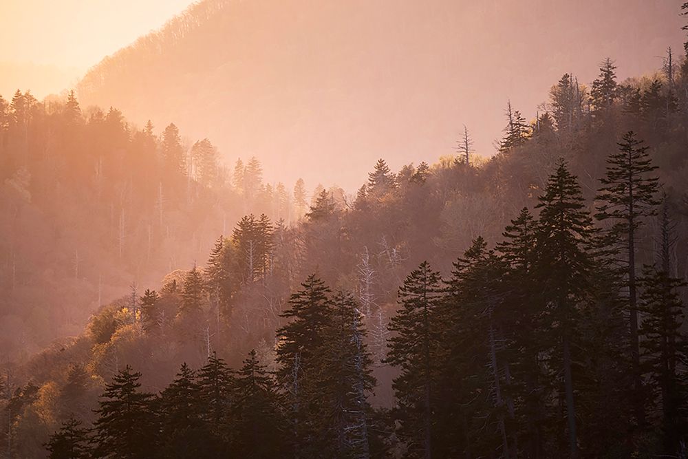 Sunset from Morton Overlook-Great Smoky Mountains National Park-Tennessee art print by Adam Jones for $57.95 CAD
