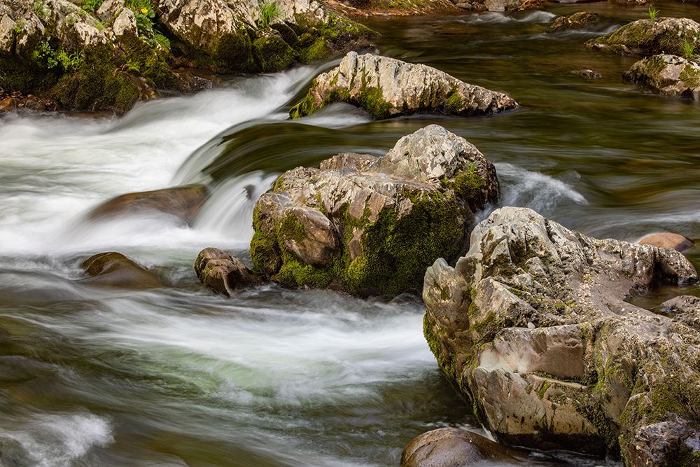 Flowing mountain stream and boulders-Great Smoky Mountains National Park-Tennessee art print by Adam Jones for $57.95 CAD